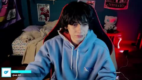 Snapshot of sai_l chatting on 01/11/25, 02:41 SAI online show from 01/11/25, 02:41