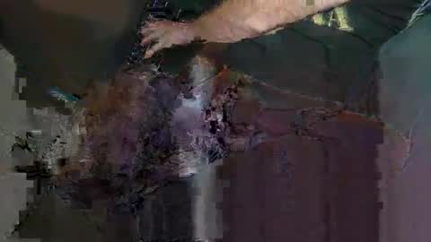 saige5558 online show from 12/22/25, 07:22