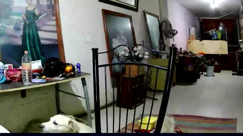 Snapshot of sailor_ruby7 chatting on 11/18/25, 12:16 ruby chocoholic cakeholic coffeeholic cookieholic online show from 11/18/25, 12:16