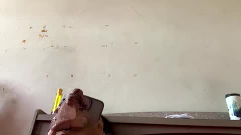 sainiboy9999 online show from 10/22/25, 04:35