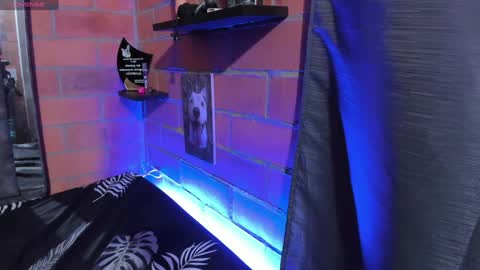 sainix_ online show from 12/18/24, 02:21