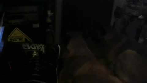 Snapshot of salaso138 chatting on 02/14/25, 11:31 salaso138 online show from 02/14/25, 11:31