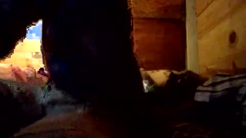 Snapshot of salido543 chatting on 12/14/25, 10:09 Penoso online show from 12/14/25, 10:09