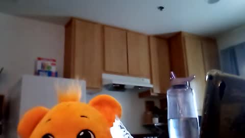 salis1981 online show from 02/19/26, 12:39