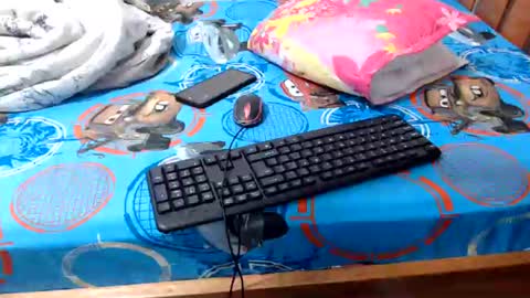 Snapshot of sallie_ chatting on 06/29/26, 10:48 naomi online show from 06/29/26, 10:48
