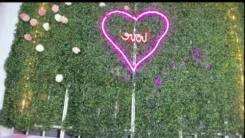 salome online show from 01/25/25, 10:50