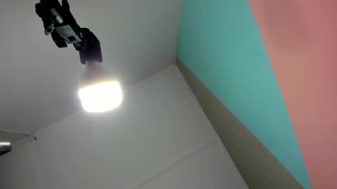 salome online show from 11/19/25, 07:47