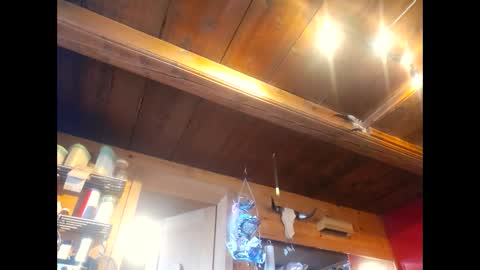 Snapshot of salsapaulus chatting on 04/13/26, 12:10 salsapaulus online show from 04/13/26, 12:10