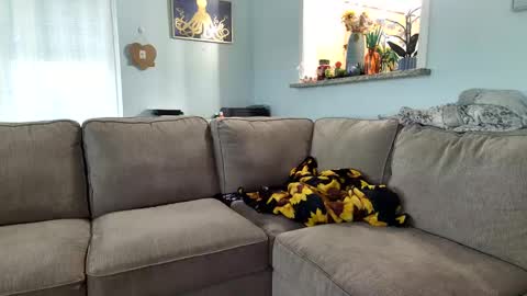 Salty Captain 69  Hat Girl 69 online show from 09/19/25, 09:37