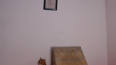 Snapshot of salvatore_amator chatting on 04/26/26, 02:04 salvatore_amator online show from 04/26/26, 02:04