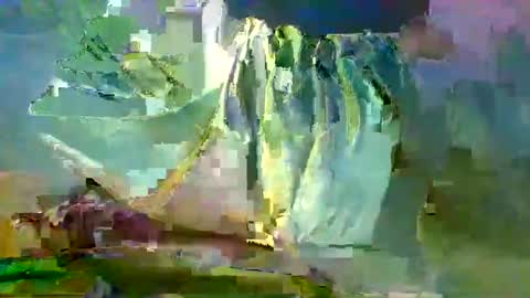 Snapshot of sam223382879 chatting on 12/27/24, 10:59 sam223382879 online show from 12/27/24, 10:59