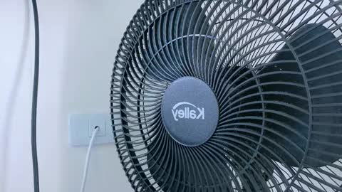   online show from 11/20/25, 11:21