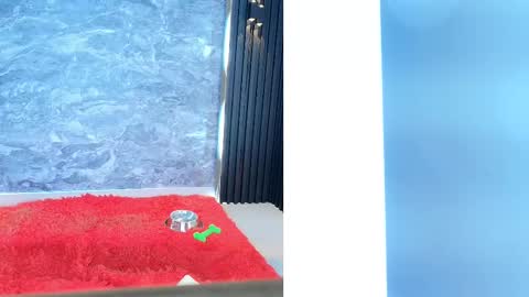 Samantha online show from 02/11/25, 02:02