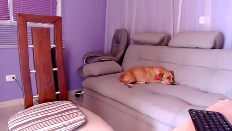 Snapshot of samanthaa_thompsoon chatting on 12/02/24, 04:31 sam online show from 12/02/24, 04:31