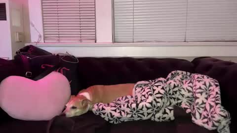 samanthafever online show from 04/07/26, 11:54