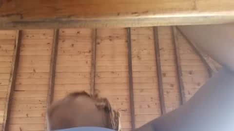 Alejandra  online show from 03/08/25, 12:09