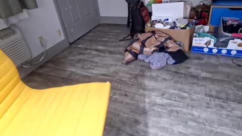 samboiamtho online show from 01/03/25, 06:11