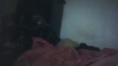 Snapshot of samedisamedi1nouveau chatting on 10/18/25, 11:33 Samedisamedi1nouveau online show from 10/18/25, 11:33