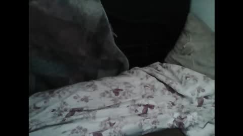 Samedisamedi1nouveau online show from 03/07/26, 10:12