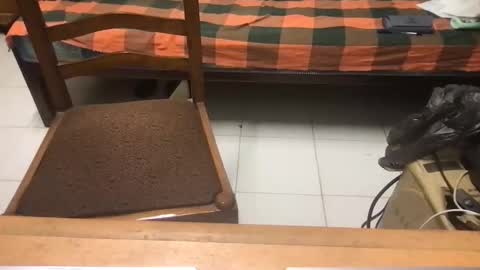 Snapshot of samhotbbc7 chatting on 10/19/25, 12:33 samhotbbc7 online show from 10/19/25, 12:33