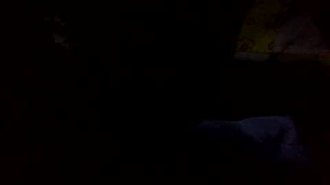 samjesss online show from 01/20/25, 03:26