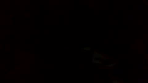 samjesss online show from 03/10/25, 02:28