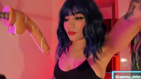 Snapshot of sammy_charlottee chatting on 04/07/26, 07:36 Sammy online show from 04/07/26, 07:36