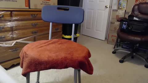 Sammy online show from 11/03/25, 02:29