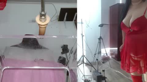 Snapshot of sammyevanss__ chatting on 02/01/25, 06:51 SAMMY online show from 02/01/25, 06:51