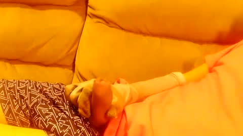 bigddaddy online show from 01/24/25, 03:00