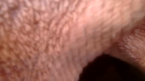 Snapshot of samueltal chatting on 02/21/26, 09:21 samueltal online show from 02/21/26, 09:21