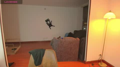 Snapshot of samy_jonnes_ chatting on 06/25/26, 12:54 Hello I am absent due to a family calamity I will return soon-hola estoy ausente por un problema familiar volvere pronto. online show from 06/25/26, 12:54