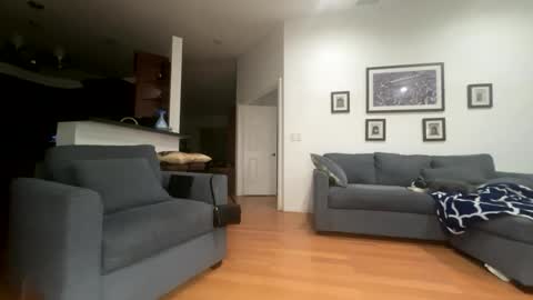 Santana online show from 02/21/26, 06:03