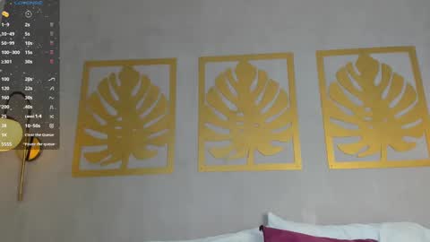 Sara online show from 12/29/24, 12:34