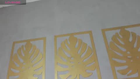 Sara online show from 01/29/25, 12:02