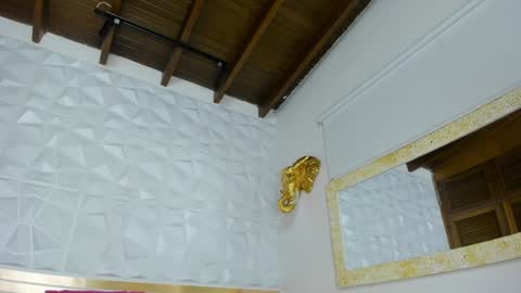 Sara Collins online show from 01/24/25, 02:51