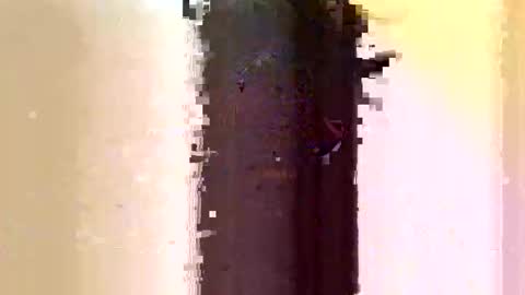 Snapshot of sara_muscle chatting on 06/07/26, 03:10 Sara online show from 06/07/26, 03:10
