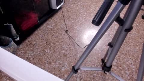 Snapshot of sara_salgado chatting on 02/23/26, 11:07 sara_salgado online show from 02/23/26, 11:07