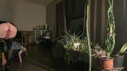 Snapshot of sarafossette chatting on 07/20/26, 01:42 Sara Fossette online show from 07/20/26, 01:42