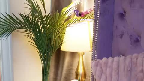 Snapshot of saraiangel chatting on 07/14/26, 03:55 Sarai online show from 07/14/26, 03:55