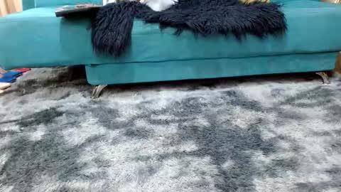 Snapshot of sarita_klein chatting on 11/08/25, 03:34 sarita_klein online show from 11/08/25, 03:34