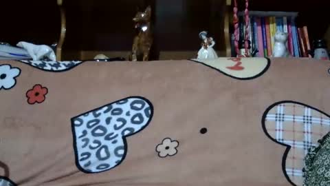 Sarra online show from 12/07/24, 08:27