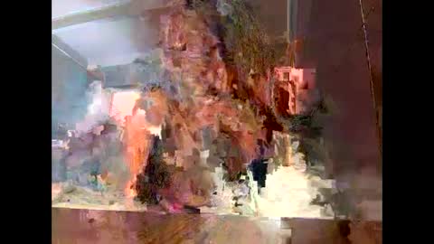 Sassyella online show from 09/09/25, 03:39