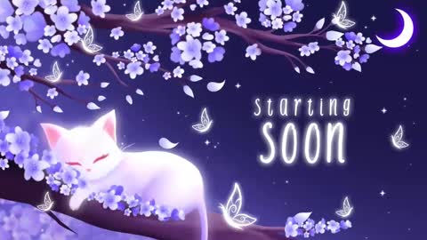 Snapshot of sassykittyn chatting on 11/03/25, 06:03 Sassy Sami Kittyn online show from 11/03/25, 06:03