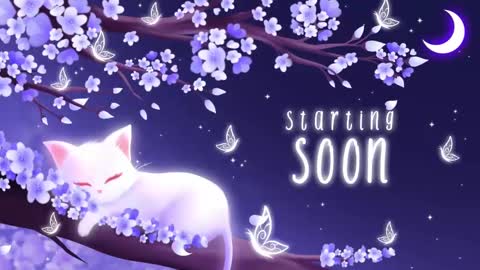 Snapshot of sassykittyn chatting on 11/04/25, 06:23 Sassy Sami Kittyn online show from 11/04/25, 06:23