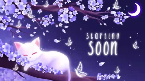 Snapshot of sassykittyn chatting on 12/02/25, 06:08 Sassy Sami Kittyn online show from 12/02/25, 06:08