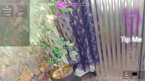 Snapshot of sassylatin45 chatting on 01/12/25, 01:21 sassylatin45 online show from 01/12/25, 01:21