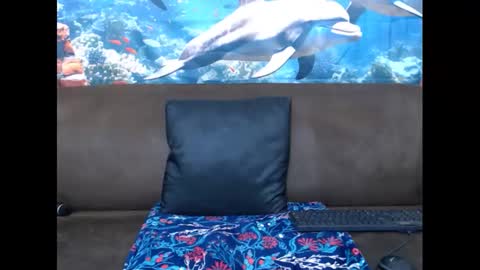 Snapshot of sasyylissaa chatting on 03/03/25, 07:39 sasyylissaa online show from 03/03/25, 07:39