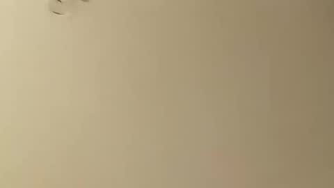 SnowBunny online show from 01/26/25, 05:13