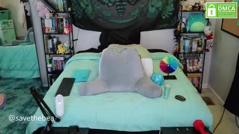 Bea online show from 11/17/25, 06:57